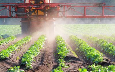 MZe dá 251 milionů korun na výzkum snižování spotřeby hnojiv nebo pesticidů