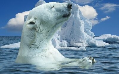 Průzkum: Většina lidí v Moravskoslezském kraji má změnu klimatu za vážný problém