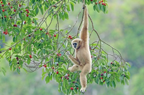 Ústecká zoo představila plán rozvoje, část prvního výběhu bude v létě