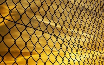 Ochránci začali na Pálavě odstraňovat nelegální ploty, může jít skoro o 100 km