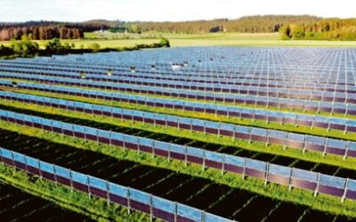 Podpora agrovoltaiky by podle svazu měla směřovat jen k aktivním zemědělcům