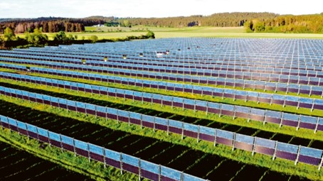 Podpora agrovoltaiky by podle svazu měla směřovat jen k aktivním zemědělcům
