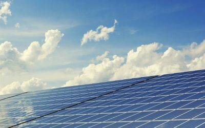 Zájem o obnovitelné zdroje energií bude letos pokračovat, ukázal průzkum