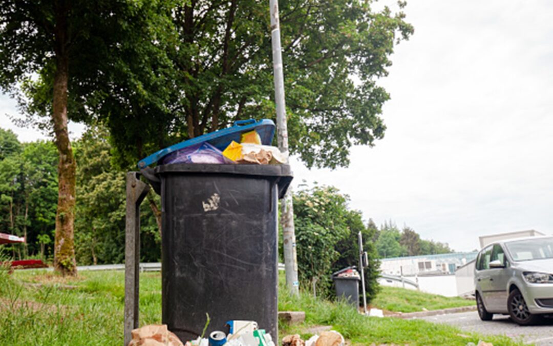 Na odpočívadlech v Ústeckém kraji nechá ŘSD měsíčně uklidit až 20 tun odpadu