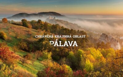 Seznam zvláště chráněných území v CHKO Pálava se rozrostl o Kočičí kámen