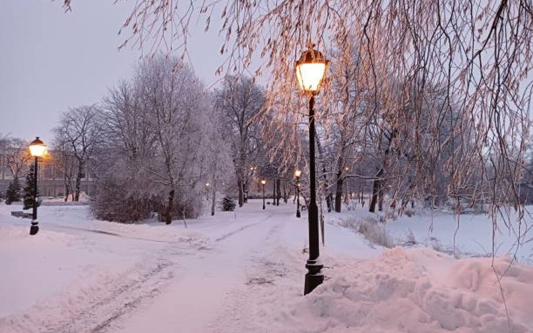 Kvůli rovnováze v přírodě Plzeň v noci ztlumí nové lampy u Boleveckého rybníka
