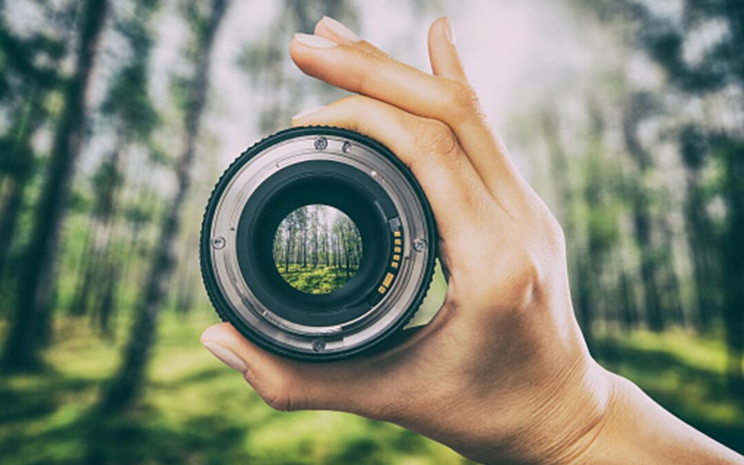 Fotografové soutěží o nejlepší snímky přírody, pořadatelé oznámili nominace