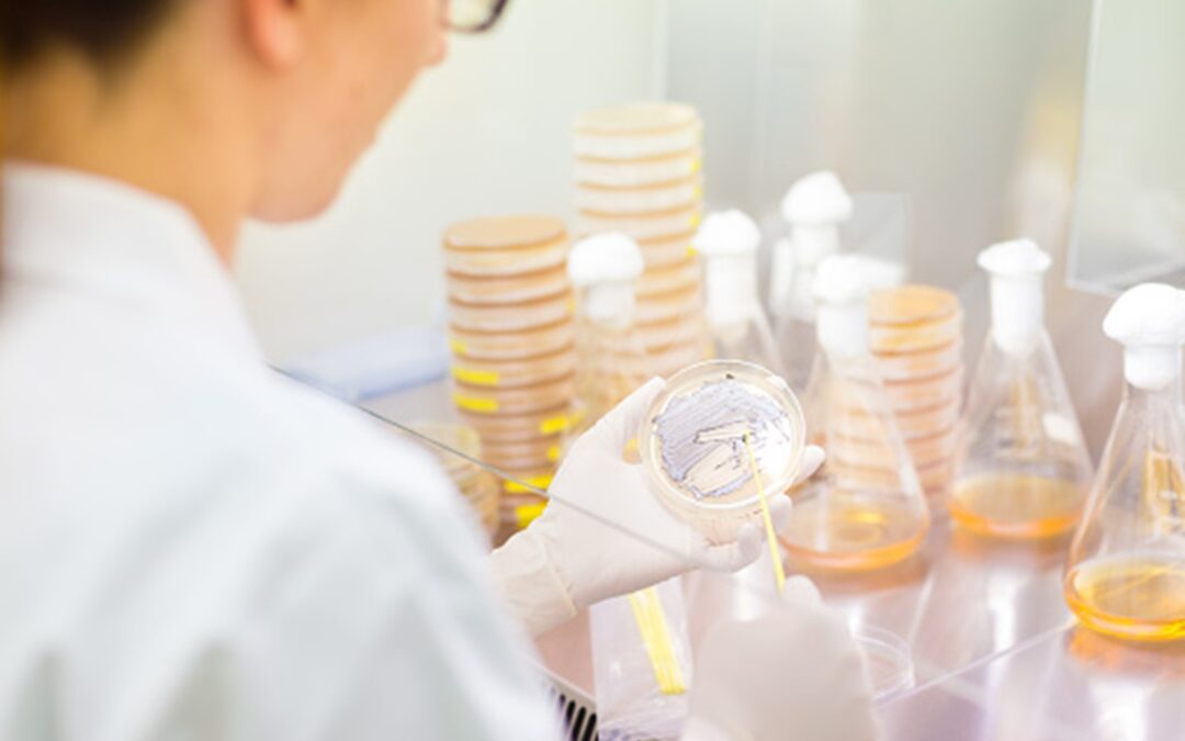 Čeští vědci objevili nový typ symbiotického vztahu mezi houbami a řasami