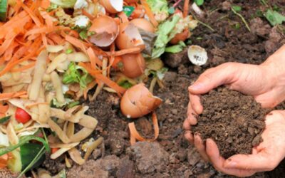 Vědci zkoumají možnosti využití odpadu z produkce biopotravin