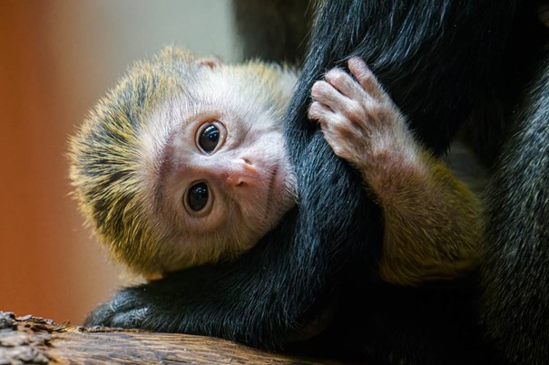 Ústecká zoo vstupuje do návštěvnické sezony s řadou novinek