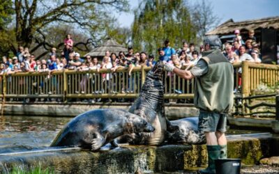 V Ústeckém kraji turisté loni nejčastěji mířili do chomutovského zooparku