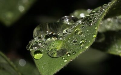 Pardubický kraj chce využít srážkové vody při správě svých budov
