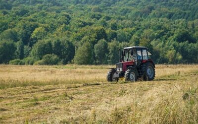 MZe poskytuje dotaci na ochranu zvěře při sečení luk, farmářům hrozí pokuta