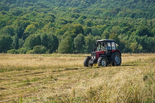 MZe poskytuje dotaci na ochranu zvěře při sečení luk, farmářům hrozí pokuta