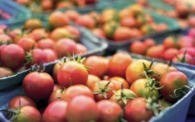 Aquaponická farma využívá moderní způsob produkce rostlin