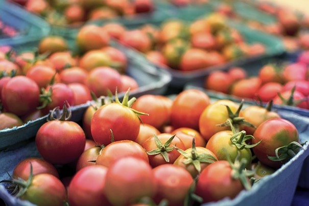 Aquaponická farma využívá moderní způsob produkce rostlin