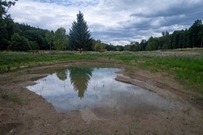 AOPK dokončila revitalizaci potoka Podhůra na bývalé střelnici lidových milicí