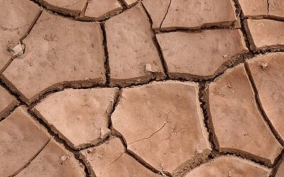 Změna klimatu se projevuje všude na světě, ztěžuje i práci meteorologů