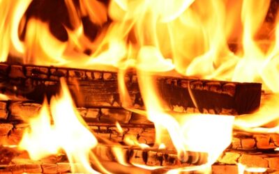 V Praze bude zakázáno spalování suchého rostlinného materiálu