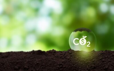 Ekologové: Peníze z aukcí emisních povolenek mají řešit dopady klimatické krize