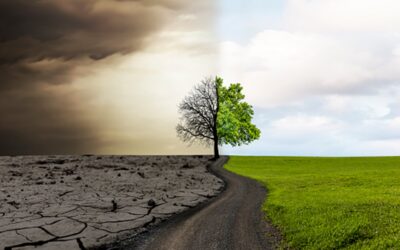 Vládou přijatý klimaticko-energetický plán není podle ANO realistický