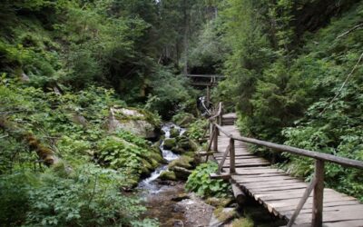 V Karlově Studánce je plánována stavba Domu přírody Jeseníků, přiblíží krásy hor