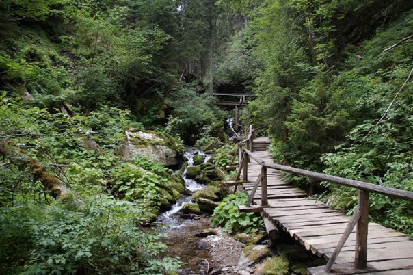 V Karlově Studánce je plánována stavba Domu přírody Jeseníků, přiblíží krásy hor
