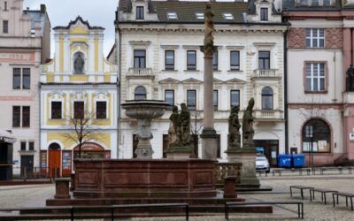 Kolínské muzeum otevřelo novou expozici Svět hmyzu, v budoucnu se rozšíří