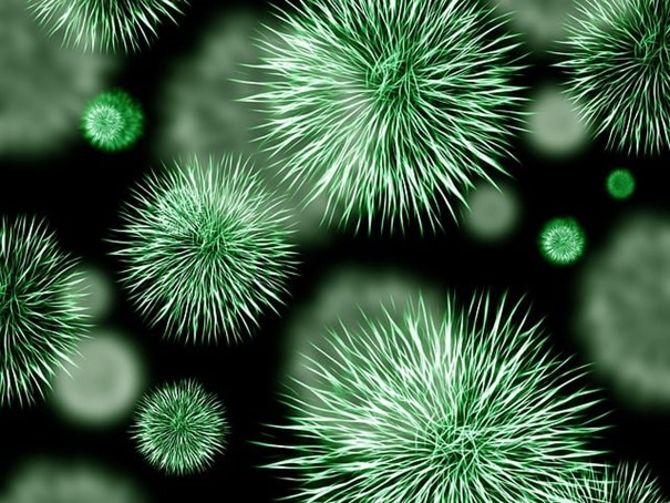 Mezinárodní tým vědců „naučil“ bakterii zpracovávat cukr z biomasy