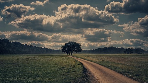 Vědci: Zelená dohoda pomáhá EU zlepšovat výsledky v ochraně klimatu