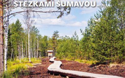 SFŽP vydal nové číslo Priorita 07/2024. Co se v tomto čísle dozvíte?