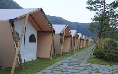 V ČR vzniká první stavba využívající podhoubí mycelium, hotová bude koncem roku