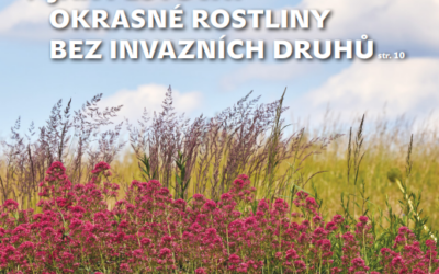 SFŽP vydal nové číslo Priorita 09/2024. Co se v tomto čísle dozvíte?