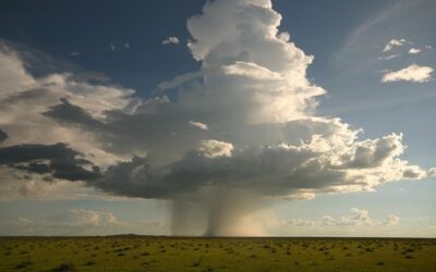 Výbor podpořil určení peněz z povolenek jen na řešení následků změn klimatu