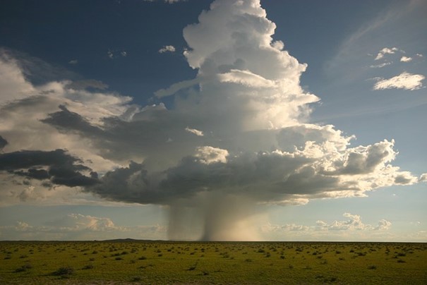 Výbor podpořil určení peněz z povolenek jen na řešení následků změn klimatu