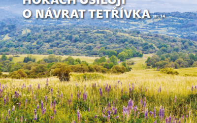 SFŽP vydal nové číslo Priorita 11/2024. Co se v tomto čísle dozvíte?