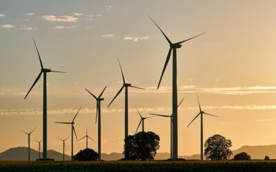 Lidé v Počátkách v referendu odmítli výstavbu větrných elektráren
