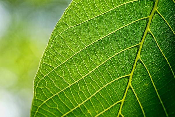 Práce vědců ZČU výrazně zlevní využití vodíkových technologií k výrobě energie