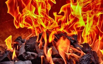 Průzkum: Drtivá většina Čechů teď neplánuje přechod na ekologické zdroje energií