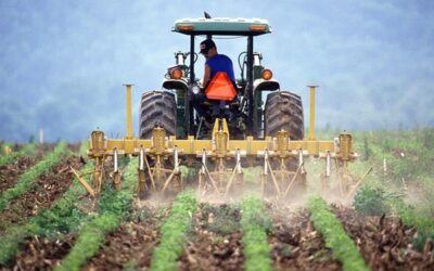 V zemědělství chybí v ČR 10.000 lidí, odborné školy se orientují na technologie