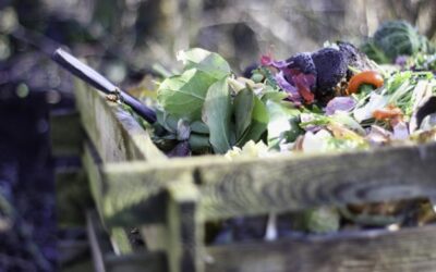 Kompostárna Jarošovice na Českobudějovicku spouští výrobu biometanu