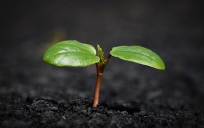 Klimatická komunikace potřebuje srozumitelnější jazyk, shodli se experti