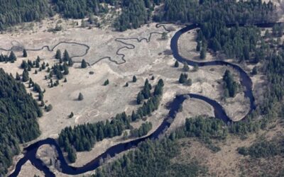 Za environmentální osvětu si čtyři osobnosti odnesly Vavrouškovu cenu
