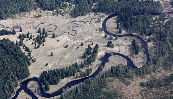 Za environmentální osvětu si čtyři osobnosti odnesly Vavrouškovu cenu