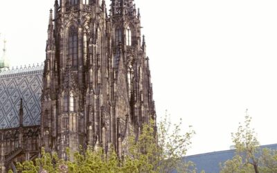 Vědci zkoumají přírodní ekosystémy v zahradách a parcích Pražského hradu