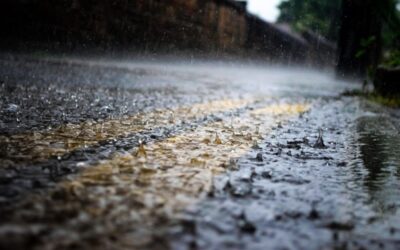 MŽP rozdělí na zachytávání dešťové vody či zelené střechy 930 milionů korun