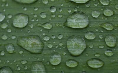 Klimatologové: Extrémy v počasí přibývají, změna klimatu je jejich příčinou