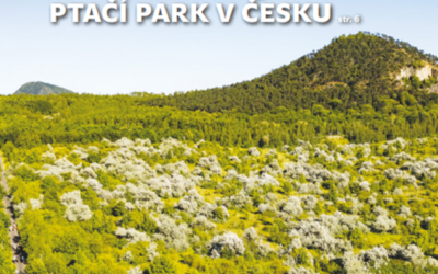 SFŽP vydal nové číslo Priorita 07-08/2025. Co se v tomto čísle dozvíte?