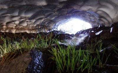 Fluoritové Jeskyně pod Sněžníkem si mimořádně může prohlédnout veřejnost