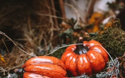 V botanické zahradě v Troji se od 10. října do 2. listopadu koná výstava dýní